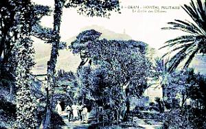 Oran - Hopital Baudens - Jardin des Officiers